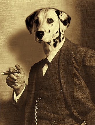 [sigmund-spot-toned3.jpg]