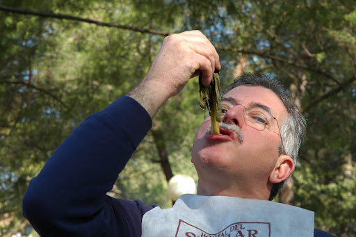 Kuk%C3%A7otada%20082.jpg