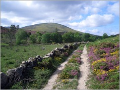 Lamas de mouro