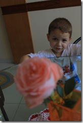 IMG_2314 IMG_2314
