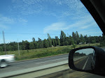 IMG_0061.JPG