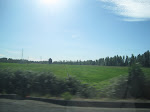 IMG_0063.JPG