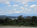 IMG_0085.JPG