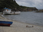 IMG_0123.JPG