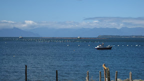 IMG_0980.JPG