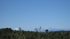 IMG_1323.JPG