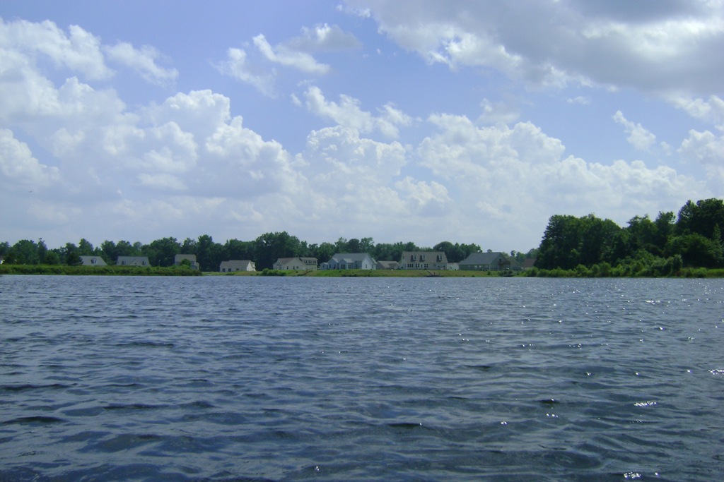 [DSC01589[4].jpg]