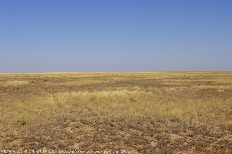 Просто батарейка… 