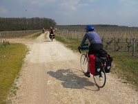 In the vineyards of the Cher