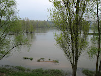 The Loire in Tours