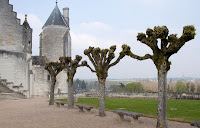 The citadel at Loches