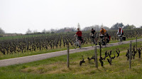 The vineyards of the Cher valley