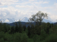 IMG_3676.JPG