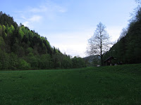 IMG_3691.JPG