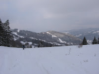 IMG_3056.JPG