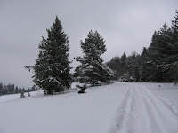 IMG_3091.JPG