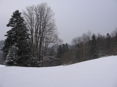 IMG_2879.JPG