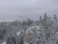 IMG_2938.JPG