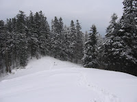 IMG_2960.JPG