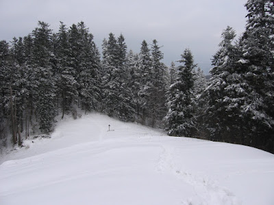 IMG_2960.JPG