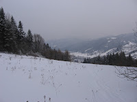 IMG_2991.JPG