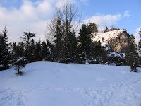 IMG_3513.JPG
