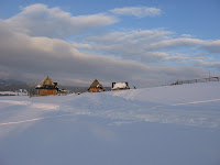IMG_3521.JPG
