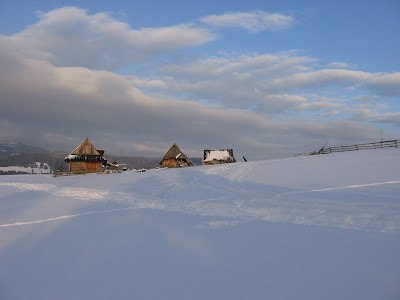 IMG_3521.JPG