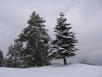 IMG_3183.JPG