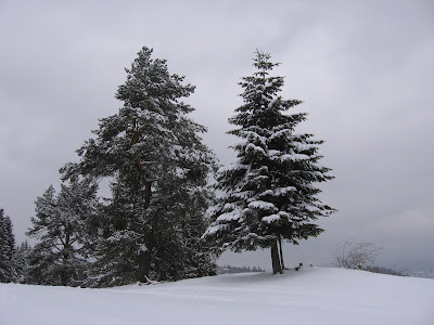 IMG_3183.JPG
