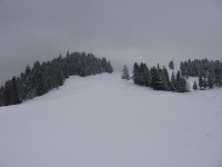 IMG_3184.JPG