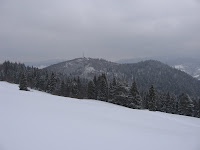 IMG_3186.JPG