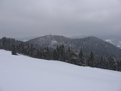 IMG_3186.JPG