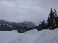 IMG_3296.JPG