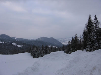 IMG_3296.JPG
