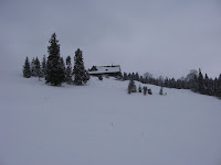 IMG_3295.JPG