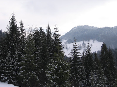 IMG_3353.JPG