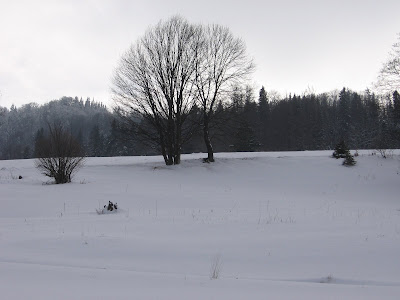 IMG_3364.JPG