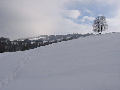 IMG_3368.JPG