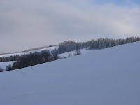 IMG_3462.JPG