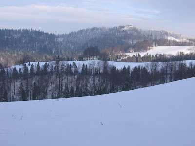 IMG_3464.JPG