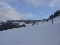 IMG_3472.JPG