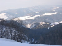 IMG_3490.JPG