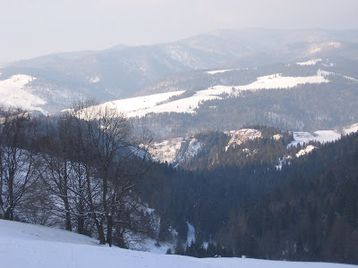 IMG_3490.JPG