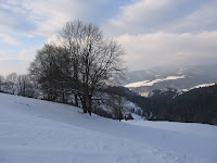 IMG_3502.JPG