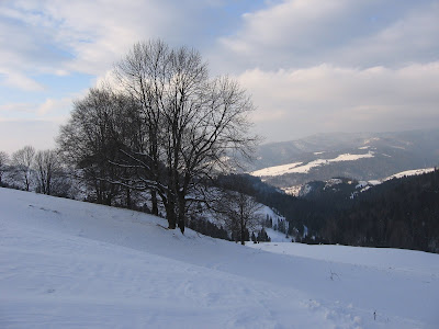 IMG_3502.JPG