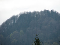 IMG_3035.JPG