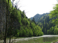 IMG_2736.JPG