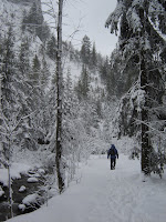 DSC07287.JPG