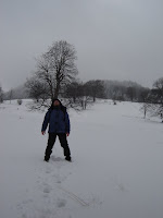 DSC07322.JPG